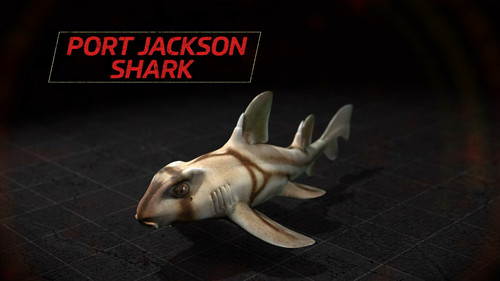 Stinging Sharks