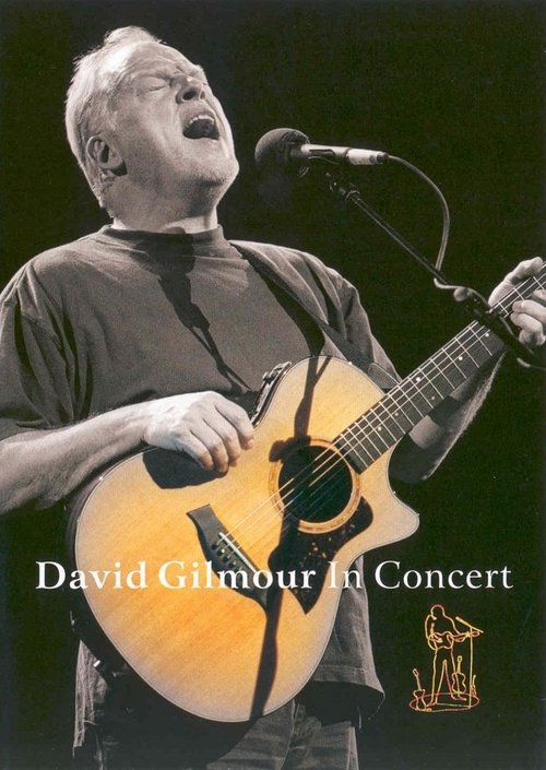 David Gilmour: In Concert