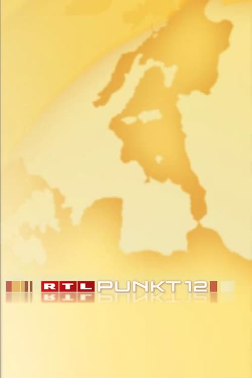 Poster Punkt 12