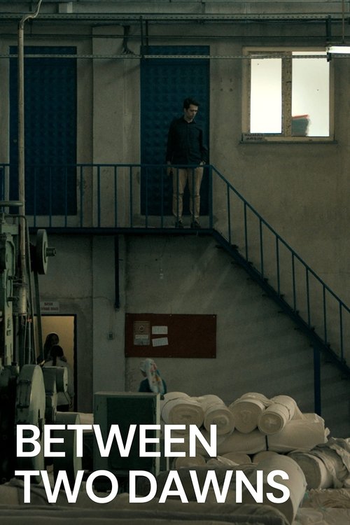 Poster 5