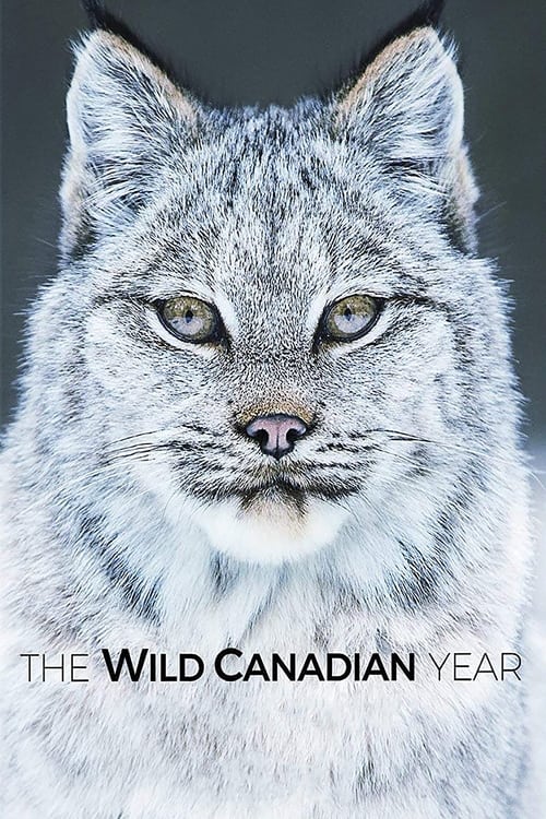 Poster The Wild Canadian Year
