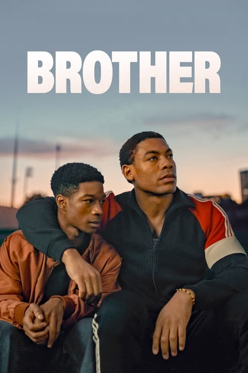 Poster do filme Brother