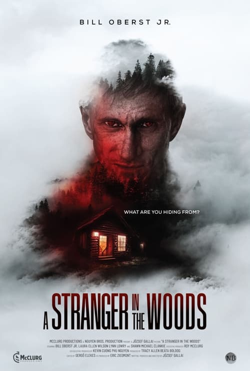 A Stranger in the Woods poster