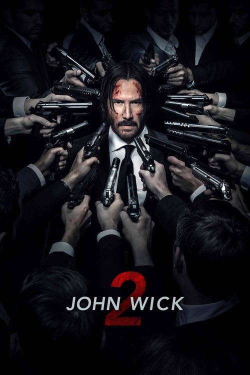 Image John Wick: Chapter 2