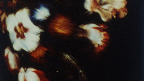 The Parable of the Tulip Painter and the Fly