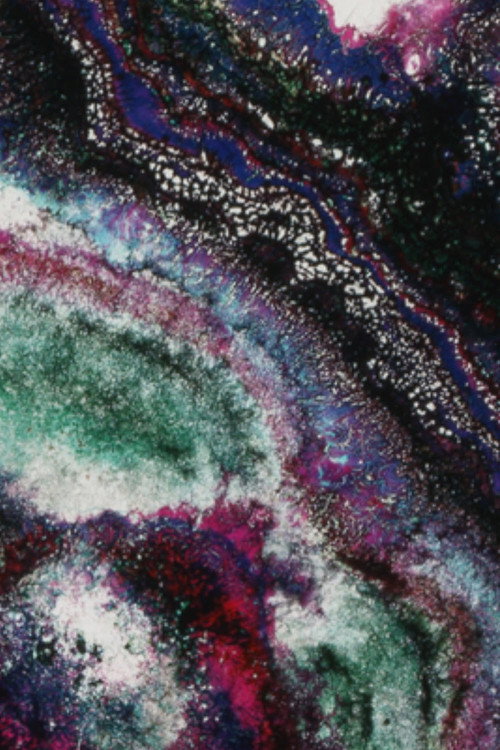 Cottonwood Ranges: right of reply