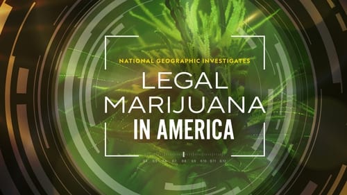 Online Stream National Geographic Investigates: Legal Marijuana in America