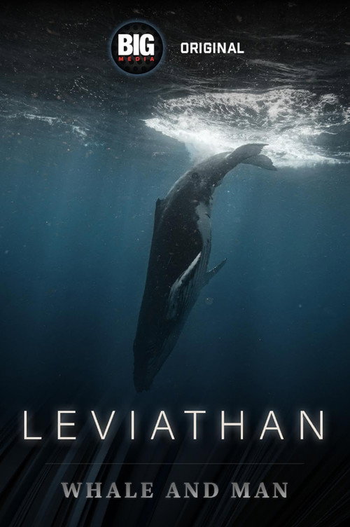 Leviathan: Whale and Man poster
