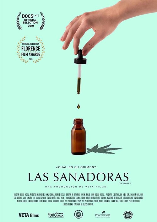 The Healers movie poster player