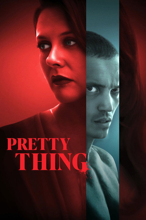 Pretty Thing poster