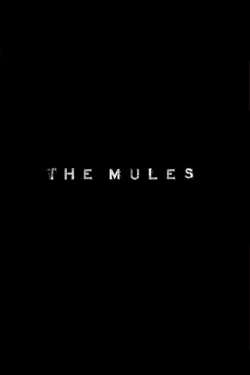 The Mules Box Office