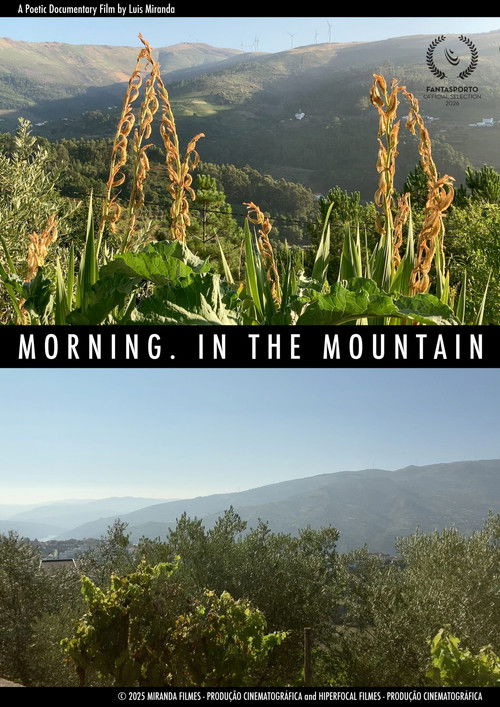 Morning, in the Mountains