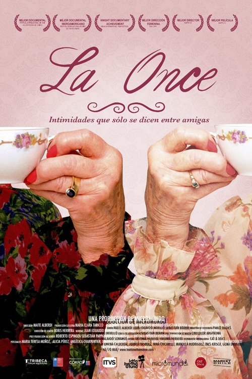 La Once movie poster player