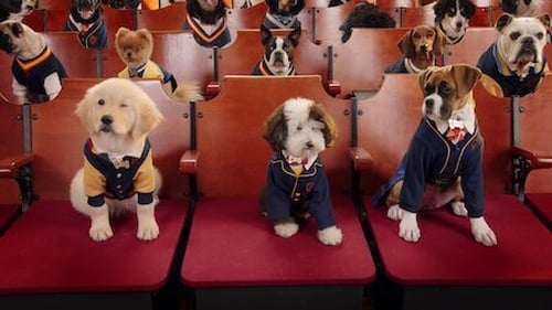 Poster della serie Pup Academy