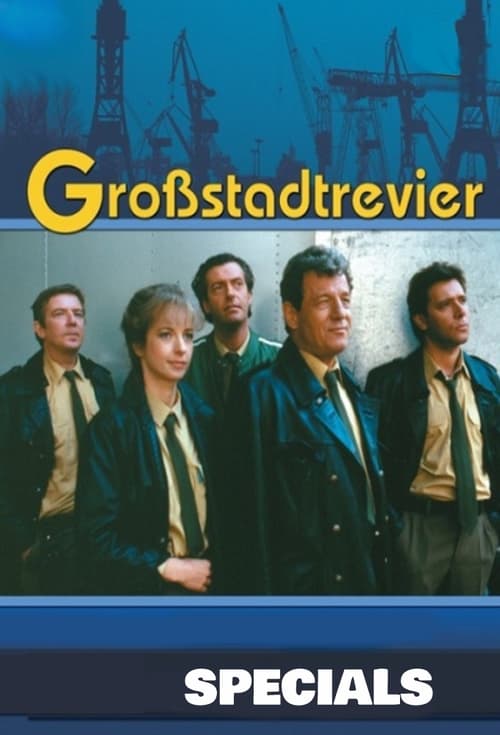 Großstadtrevier, S00 - (2020)