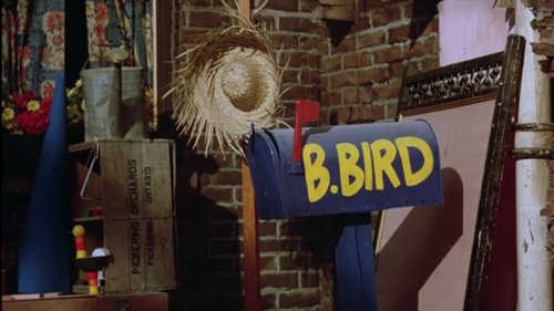 Follow That Bird Follow That Bird