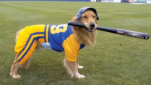 Air Bud: Seventh Inning Fetch - He's A Natural Baseball Player With Major League Talent! - Azwaad Movie Database