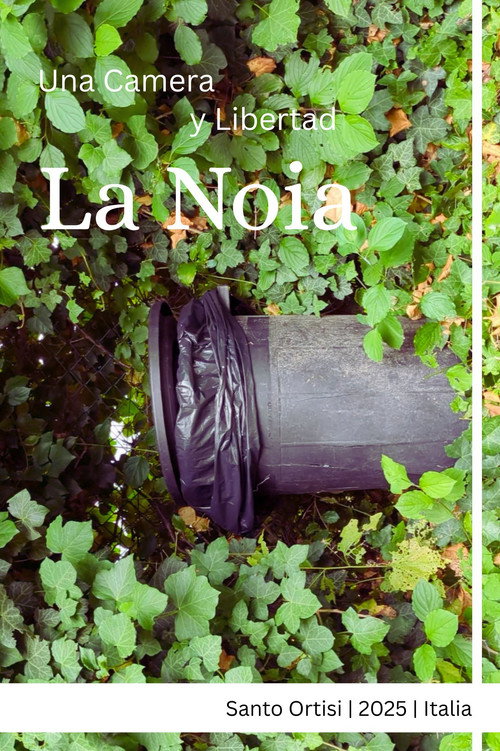 La noia