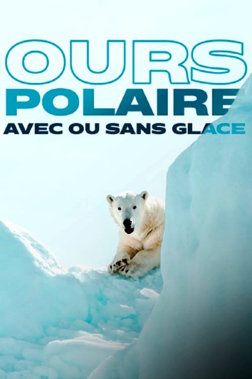 |FR| Face to Face with the Polar Bear