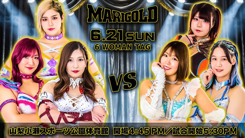 Marigold Shining Attack 2026 ~ Day 15