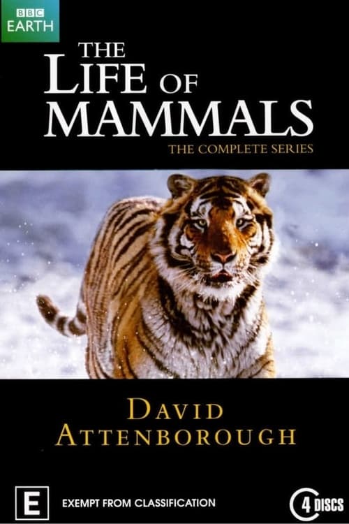 Where to stream The Life of Mammals Season 1