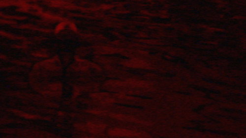 Image du film