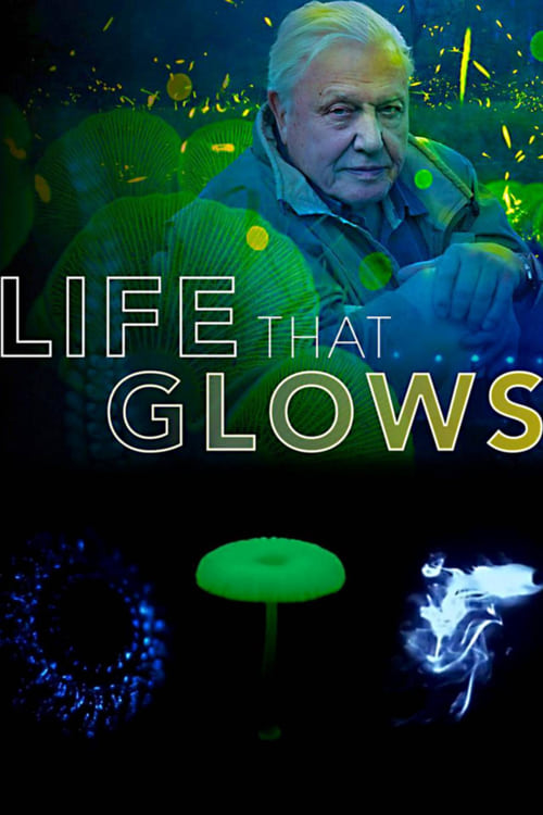 Attenborough's Life That Glows (2016) poster