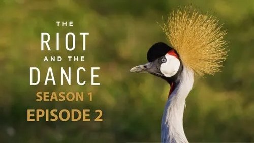 Image de l'épisode 2