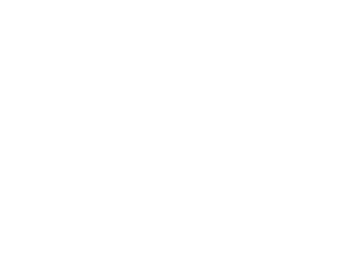 Flight 7500