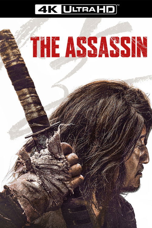 The Assassin poster