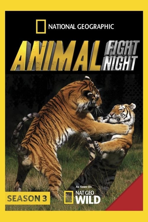 Where to stream Animal Fight Night Season 3