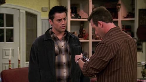 Poster della serie Joey