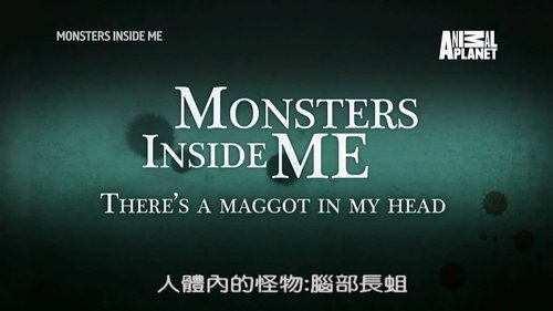 Image de l'épisode 5