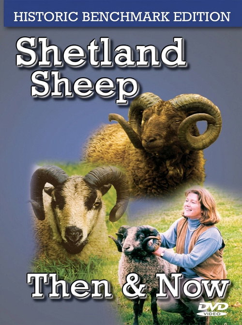 Shetland Sheep Then & Now (Historic Benchmark Edition) official trailer poster