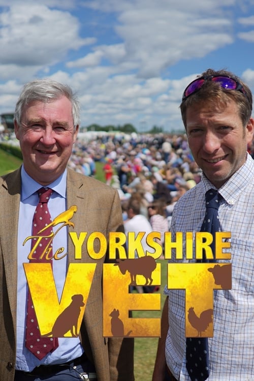 The Yorkshire Vet poster