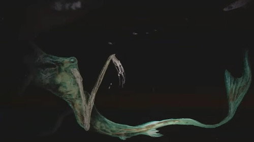 Mermaids still