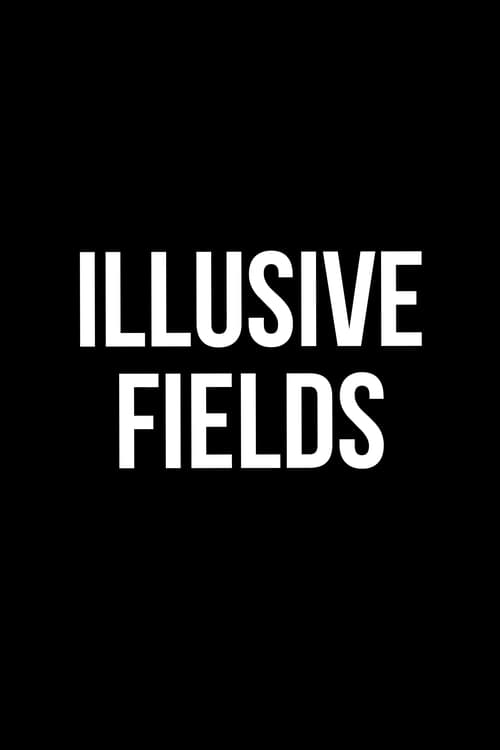 Illusive Fields (2012)