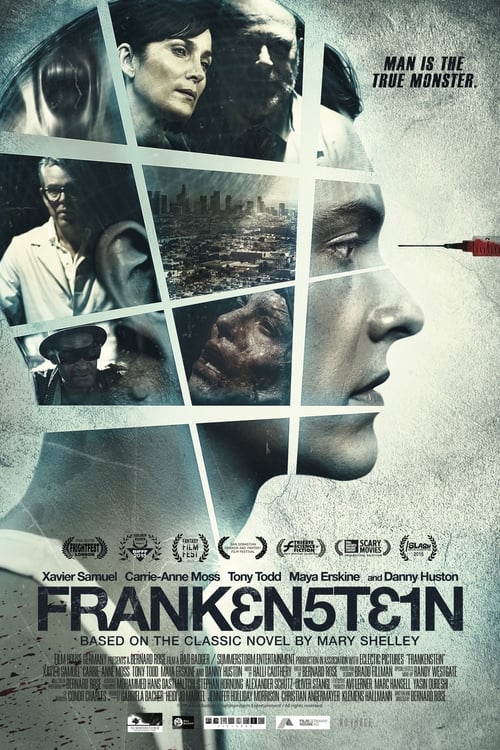 Frankenstein poster