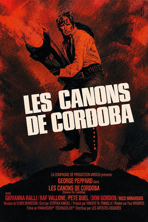 Affiche de Les Canons de Cordoba