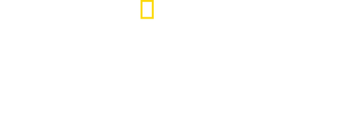 Witness to Disaster