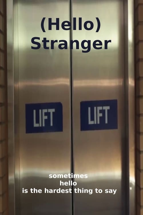(Hello) Stranger (2014) poster