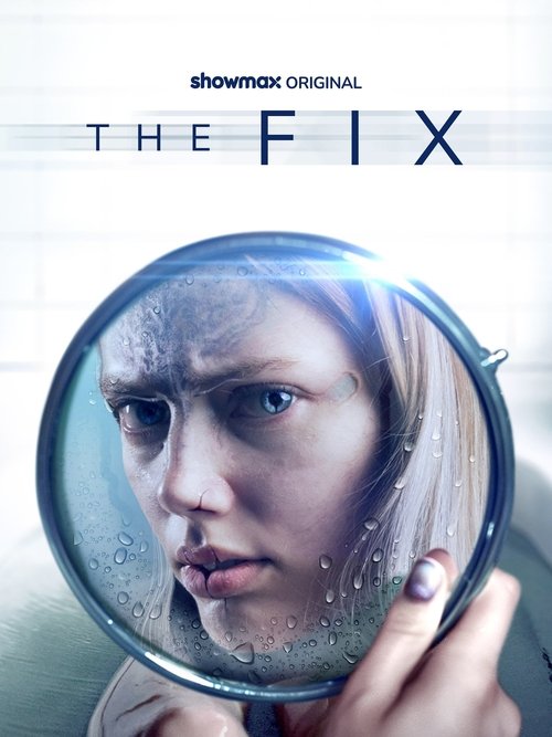 The Fix poster