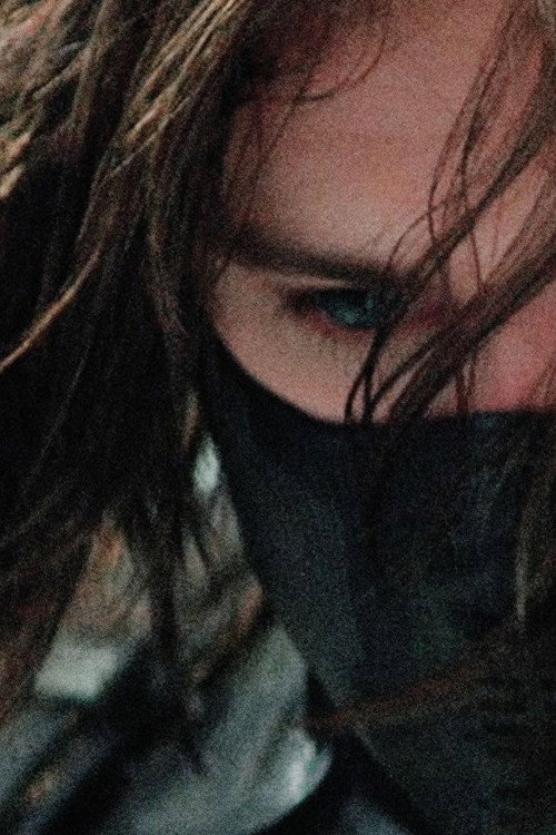 Captain America: The Winter Soldier