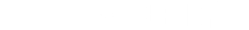 Nome in codice: Polonia official logo