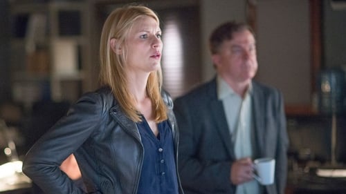 Homeland: 4×6