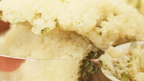 Beach Asparagus & Wild Salmon in Alaska