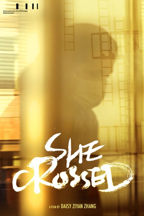 She Crossed poster