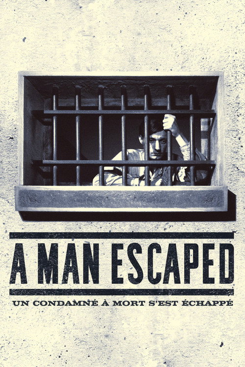 Image du film