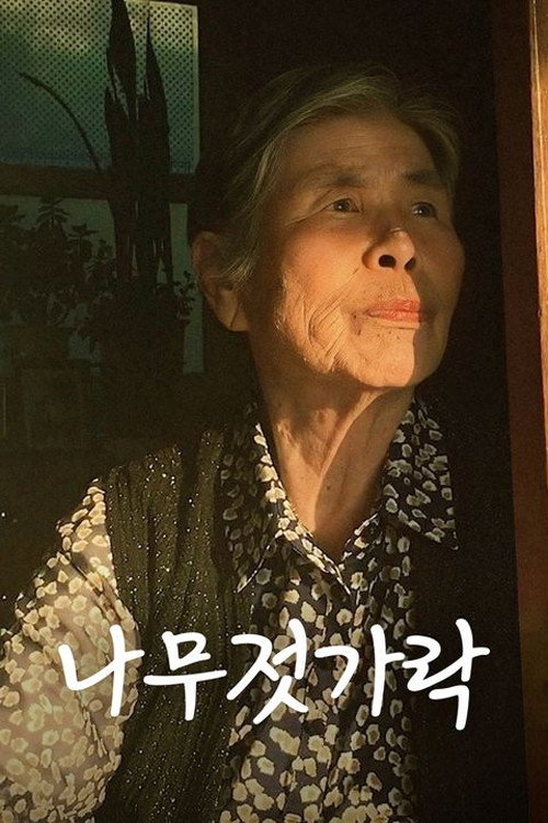 Poster (Koreanisch)