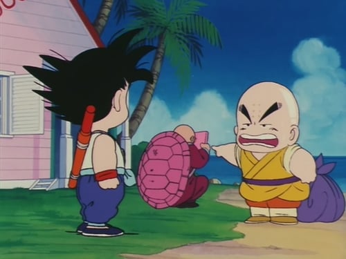 Dragon Ball: 1×14